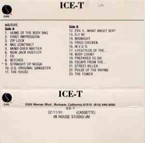 Ice-T - O.G. Original Gangster