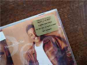 Peabo Bryson - Through The Fire