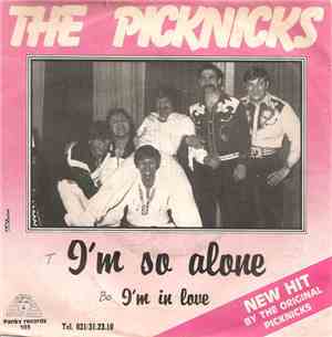 The Picknicks - I'm So Alone
