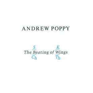 Andrew Poppy - The Beating Of Wings