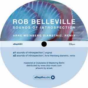 Rob Belleville - Sounds Of Introspection