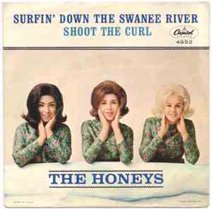 The Honeys - Surfin' Down The Swanee River