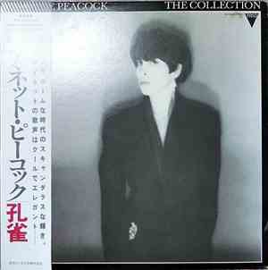 Annette Peacock - The Collection