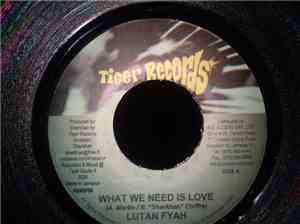 Lutan Fyah / Champeni - What We Need Is Love / Natural Joy