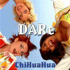 Dare  - Chihuahua