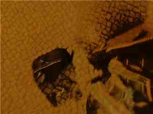 The Convoy - 8