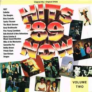 Various - Hits Now '89 Volume 2