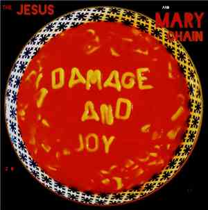 The Jesus And Mary Chain - Damage And Joy
