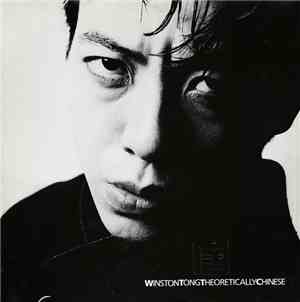 WinstonTong - Theoretically Chinese
