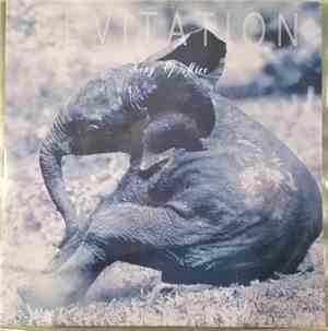 Levitation  - King of Mice
