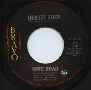 Open Road  - Endless Sleep/Gardener Junction