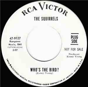 The Squirrels  - Who's The Bird?
