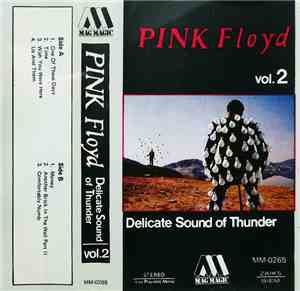Pink Floyd - Delicate Sound Of Thunder Vol.2