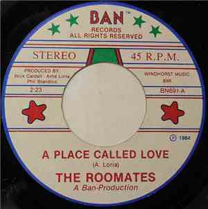 The Roomates  - A Place Called Love