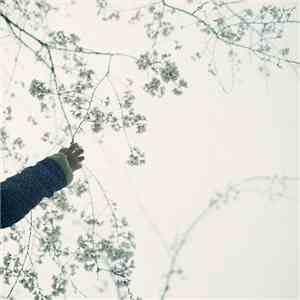 Wil Bolton - Bokeh