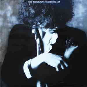 The Waterboys - This Is The Sea