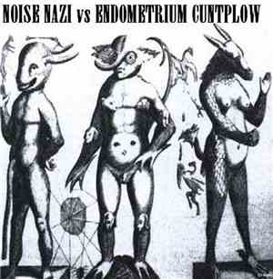Noise Nazi Vs. Endometrium Cuntplow - Noise Nazi Vs. Endometrium Cuntplow