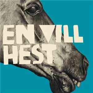 Casiokids - En Vill Hest
