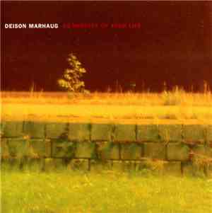 Deison & Lasse Marhaug - 33 Minutes Of Your Life