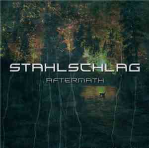Stahlschlag - Aftermath
