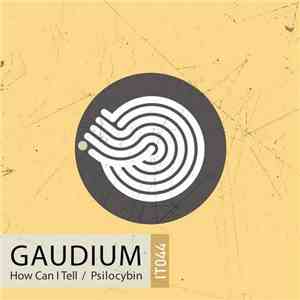 Gaudium - How Can I Tell / Psilocybin