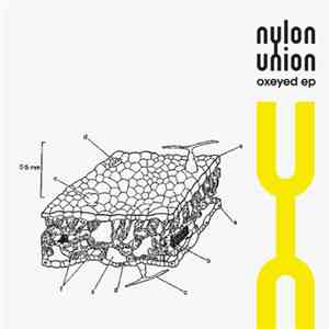 Nylon Union - Oxeyed