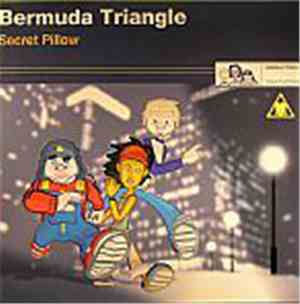 Bermuda Triangle  - Secret Pillow