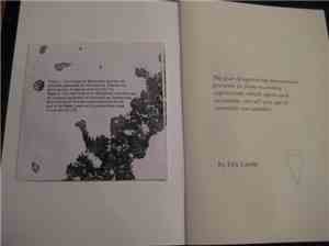 Eric Lunde - The fear of appearing monotonous prevents us from recording ex ...