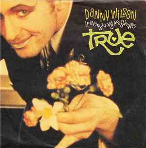 Danny Wilson  - If Everything You Said Was True