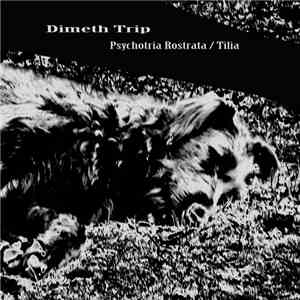 Dimeth Trip - Psychotria Rostrata / Tilia
