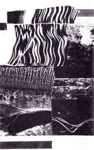 HS / AMK - Sleep Debt