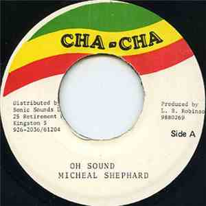 Michael Shepherd  - What In My Sound