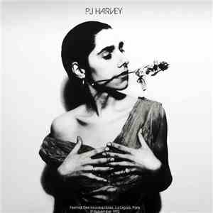 PJ Harvey - Festival Des Inrockuptibles, La Cigale, Paris, 15 November 1992