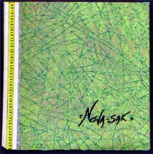 Nova-Sak - Signs Of An Unhealthy Relationship