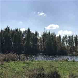 Razxca - Usmirenie Rek