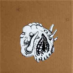 Slither  / Cotton Museum / Odd Clouds - The Creature Box
