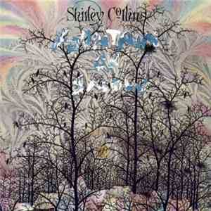 Shirley Collins - Fountain Of Snow