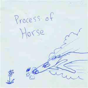 Toi Let - Process Of Horse