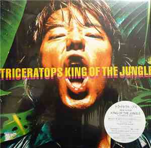 Triceratops  - King Of The Jungle