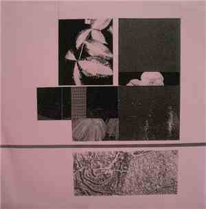 Remnants - Trace Decay