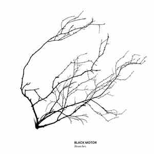 Black Motor - Branches