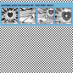 Lightning Seeds - You Showed Me (Todd Terry Mixes 1)