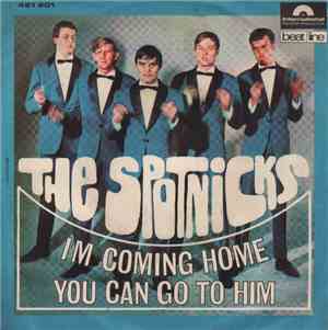 The Spotnicks - I'm Coming Home / You Can Go To Him