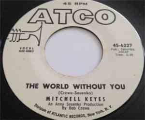 Mitchell Keyes - The World Without You
