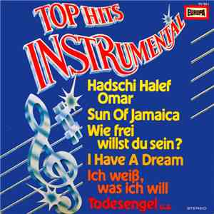 Orchester Udo Reichel Und Seine Solisten - Top Hits Instrumental