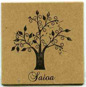 Saioa - Particular Land