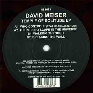 David Meiser - Temple Of Solitude EP