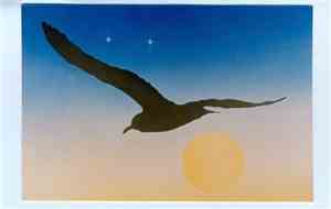 Steve Charlton - A Far Sunrise