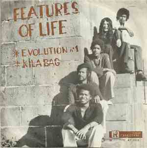 Features Of Life - Evolution N° 1 / Kila Bag