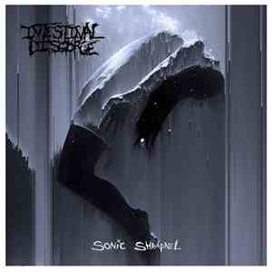 Intestinal Disgorge - Sonic Shrapnel